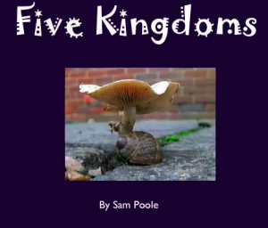 FiveKingdoms